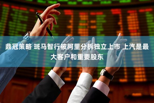 鼎冠策略 斑马智行被阿里分拆独立上市 上汽是最大客户和重要股东